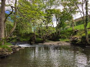 Bigsweir Fishery - Lower Wye, Monmouthshire