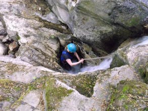 Forest Adventure - Forest of Dean, Gloucestershire