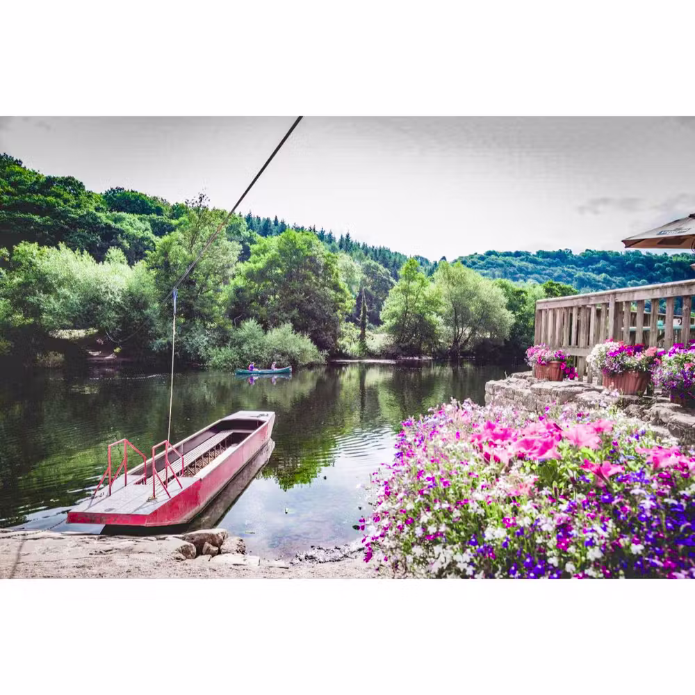 A red flat-bottomed ferry boat moored at a stone riverbank, with a wooden terrace and umbrellas to the right edge draped in pink and purple trailing petunias in hanging baskets; a person paddles a canoe on the calm river beyond, wooded hills rising on the far bank.